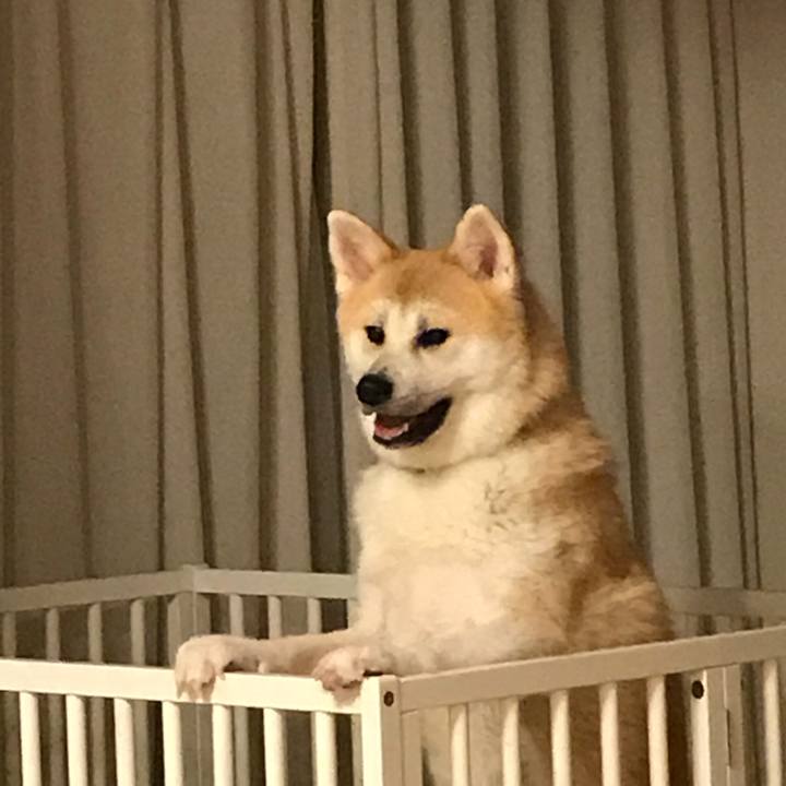 16bcba08 2d71 4e51 9cf0 db6b43c3a465 1508670361865