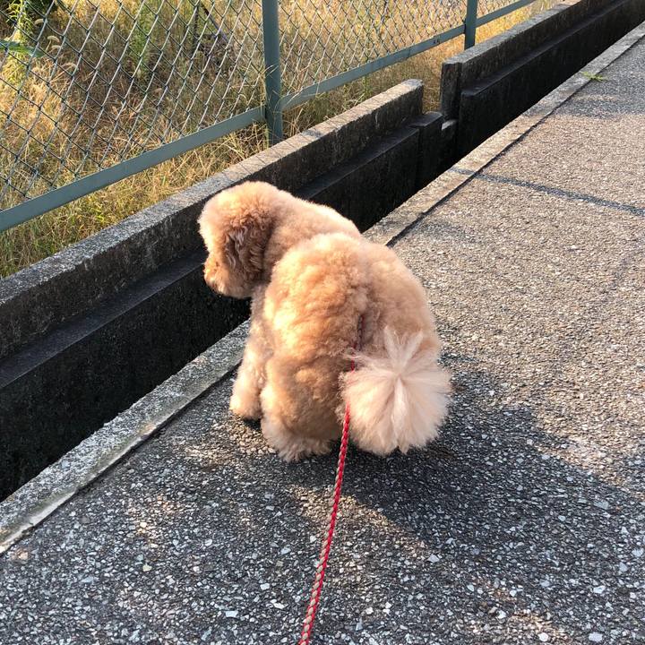 16bcc212 32e9 48eb 8b34 d67dca157417 1507692170460