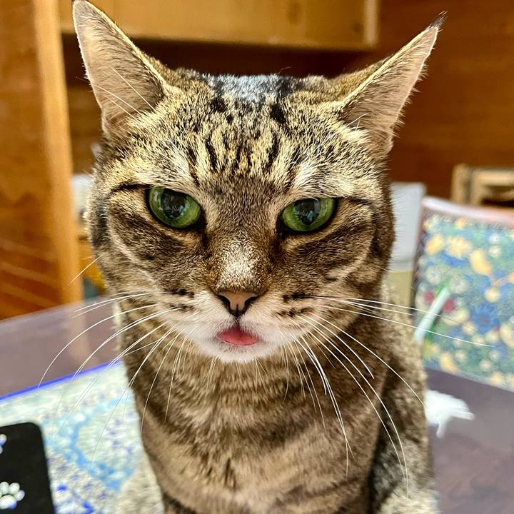 16bcccc8 bef5 4bbd b4e3 df8701134326 1758149940179