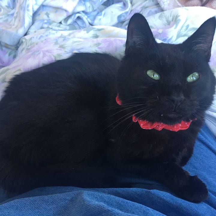 16bcd758 c36d 413b b9a7 2d517e380829 1551508240665