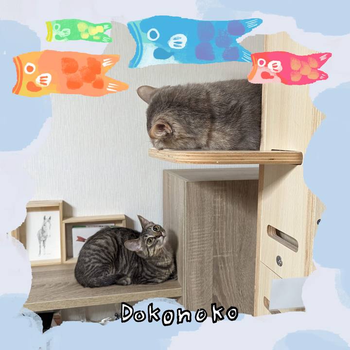 16bcec28 1b4a 437b b671 3fccb08b2d1b 1749281282439