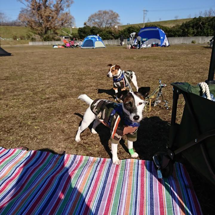 16bd4259 4853 4576 bbca 32d24bf9c82f 1546659148522