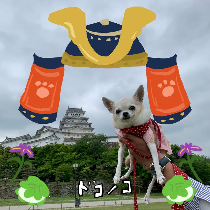 16bd4337 4294 4d5a 91e8 687eb771e18b 1714914652431