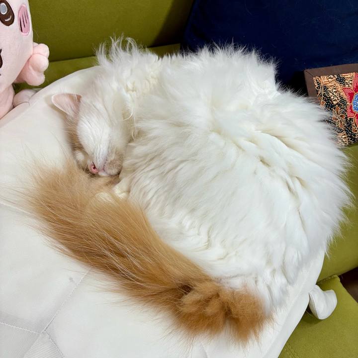 16bdb8bf 6bd6 4eff 9405 beea0a4720bf 1760931078669