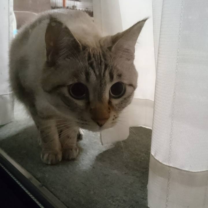 16bdce8e 1aac 4214 b947 63c3f162f126 1509100640175