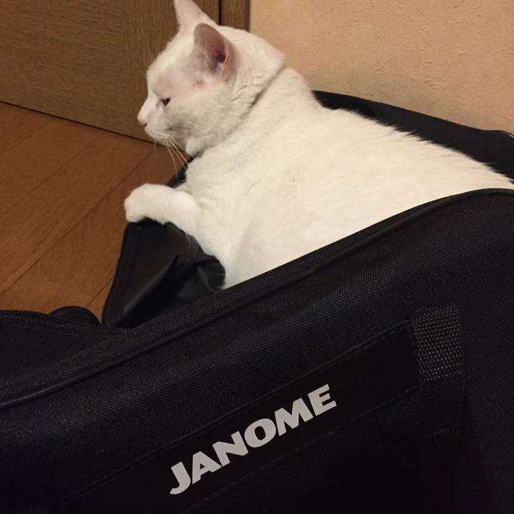 16bdff04 dfab 459e a3f8 4e8f0641ea2e 1565260348746