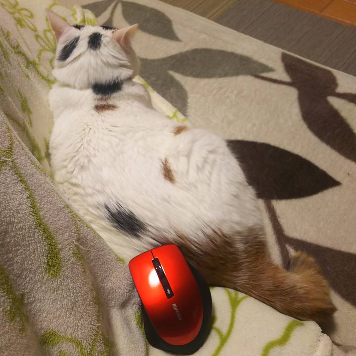 16be1477 7d07 4dac b80a d56ba10e2d1e 1577187828791