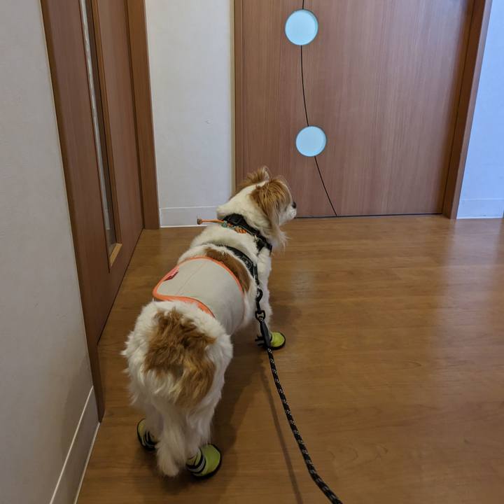 16be28a0 e822 4c66 b873 0a4023e3fd21 1681431824949