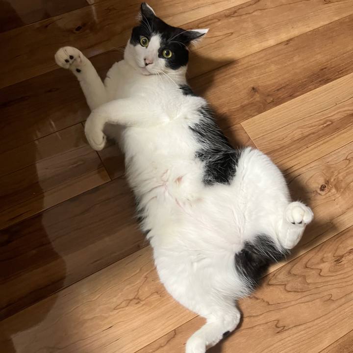 16be41f2 9435 4bc2 9c93 af8334385d9c 1688138495584