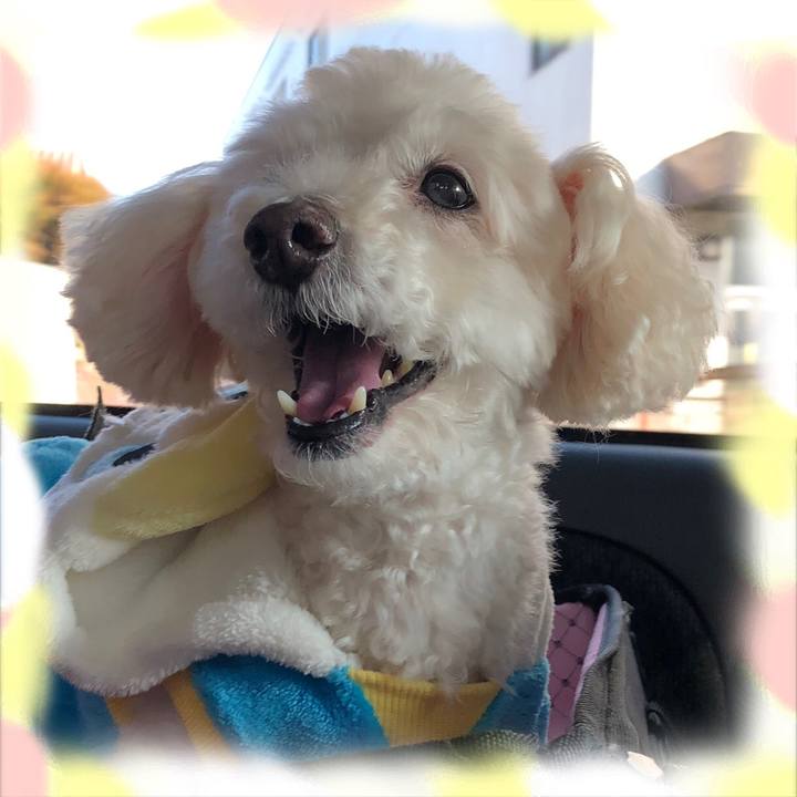 16be5ab9 021e 4f8c 809a 4f20b81af40a 1547520487815