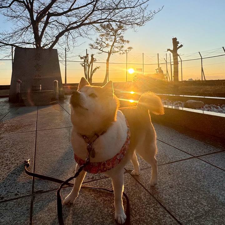 16be7844 ba20 4d3a a7c5 d84ff266f5fb 1767243083394