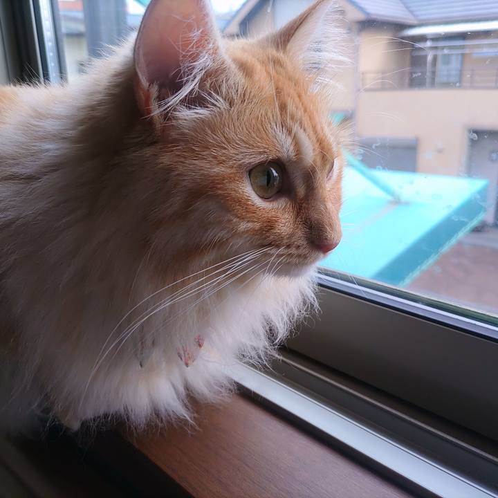 16be92d9 5327 42e0 9a8f 56446c6a84ee 1655678948642