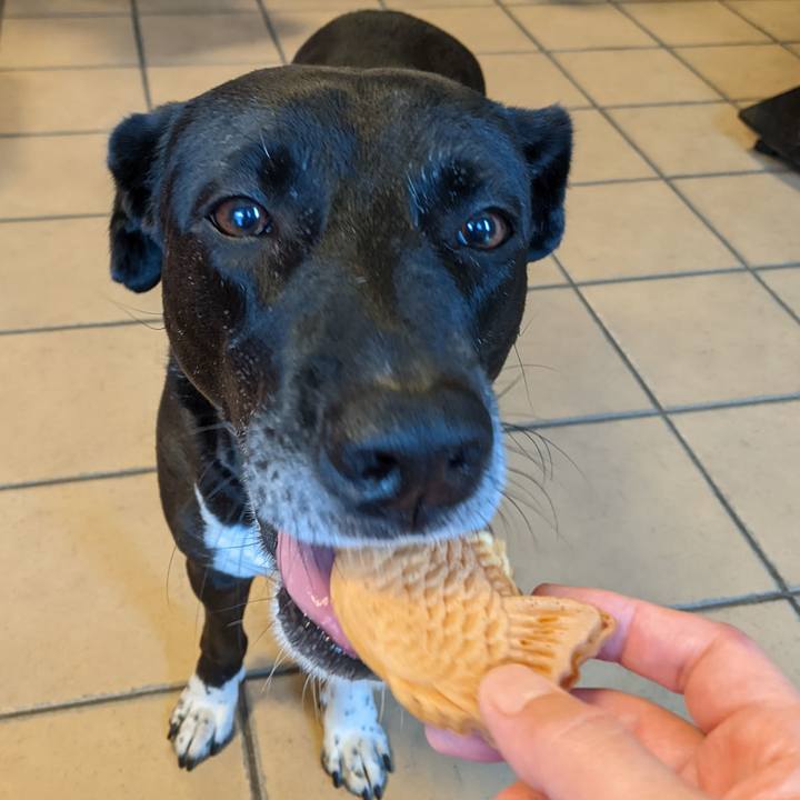 16bee460 4263 4b03 b346 4cb28f0ec7d4 1656594573854