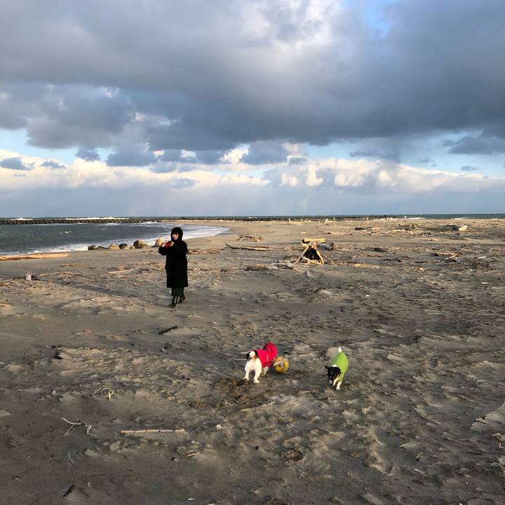 16beed3f b2b2 4b99 80af 256b18c7266d 1578098481151