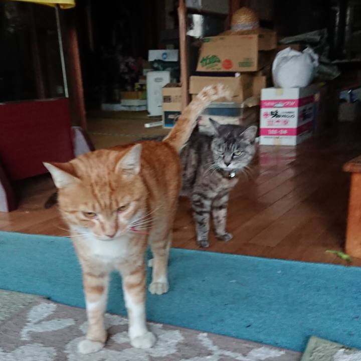 16bf4b0f 6ed8 494e affc 9296889d1e37 1568884188453