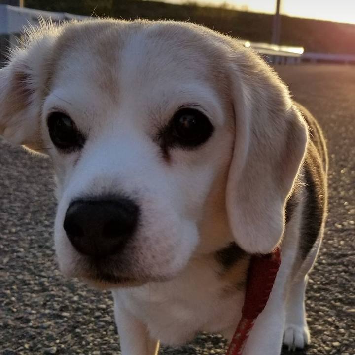 16bfa484 7c04 4028 82d5 b0834247844a 1768519659655