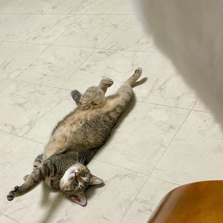 16bfe9c3 5e43 4b20 9314 9f98bfe3b8df 1757545677127