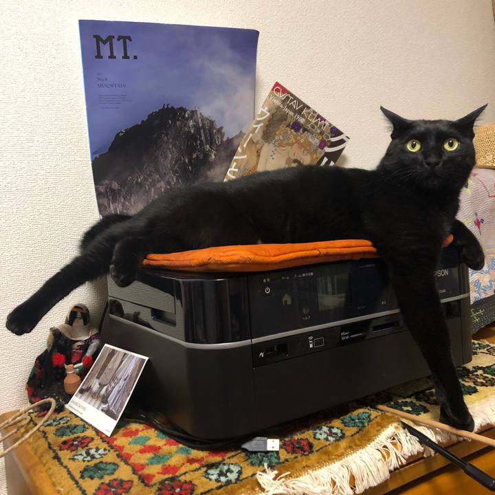 16bff551 cdaa 4424 9141 bc6c0f70ff0d 1559912816945