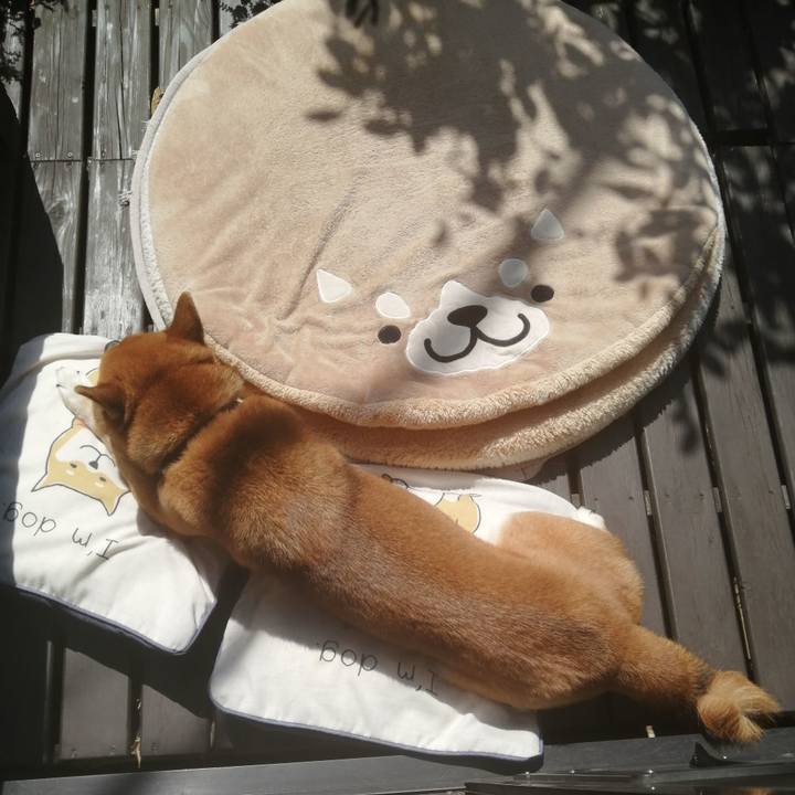 16bffa4c e5ca 4396 a8a2 15332cd669f0 1584583606189