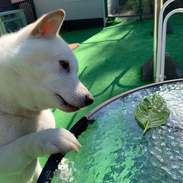 16c02824 10d7 4292 9e2e 8673bfff7e84 1597706295366