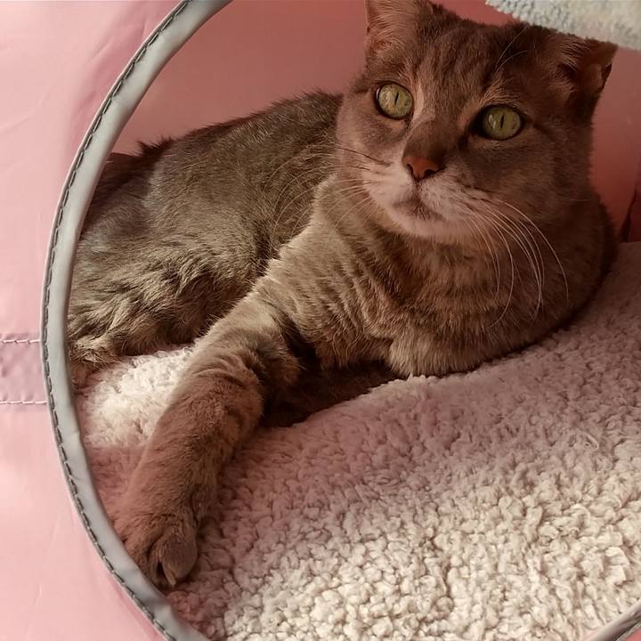 16c028a9 3649 4c7e 878c c27da43e8a1b 1612055459024