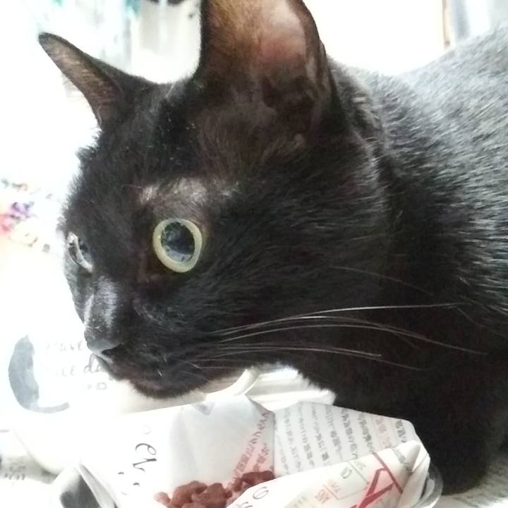 16c06723 8b6d 4ee0 8350 cdb083f7a8cb 1622106116157