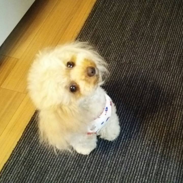 16c08b80 e12b 40df a423 2675478144a2 1526908393758