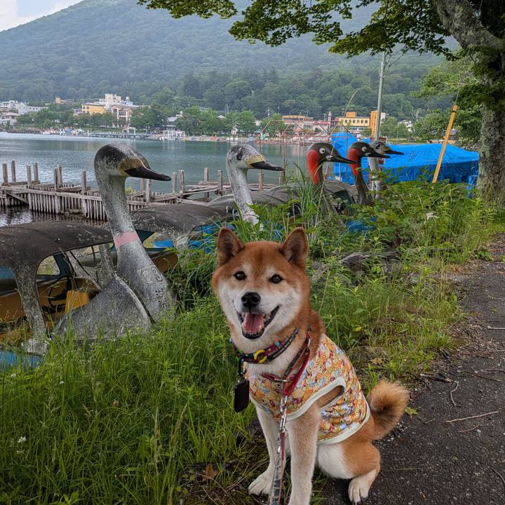 16c0992c a8e0 4044 b3fa b3dbeb09b962 1752063906452