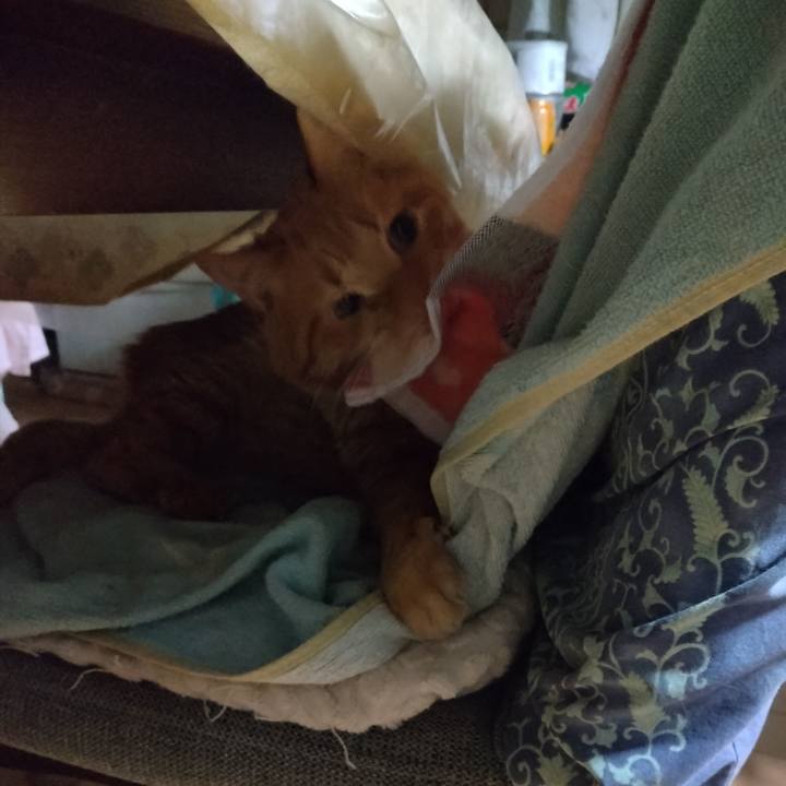 16c0dde7 9962 41ab b41a c54e4ef7fa17 1705614192001