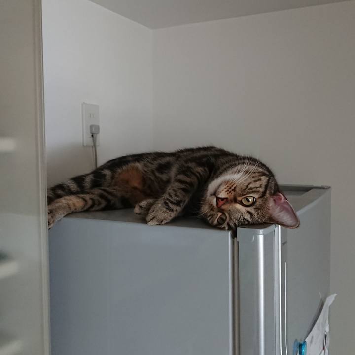 16c0e038 12dd 4c37 8d46 6b182aa7ee44 1528531914095