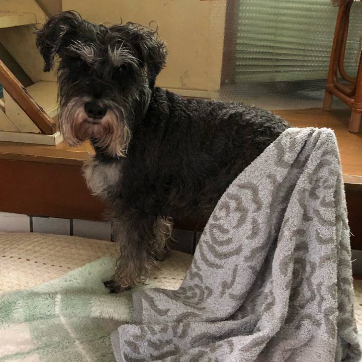 16c1194a 3542 45b9 9f78 dd5d695d5a04 1586097122865