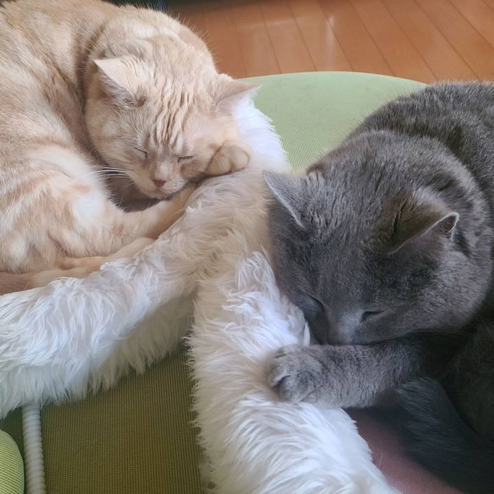 16c15d2f 924a 4692 bf36 e45132b95608 1641862262186