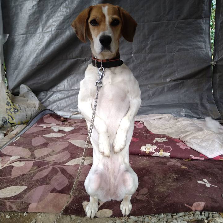 16c15ebd de0d 401d b7af bef927280b92 1638956927072