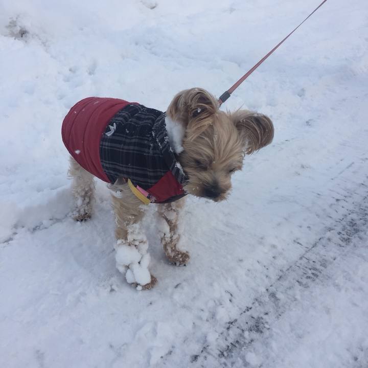 16c1e161 6b13 4dc4 b3db 1b0fe0b4166e 1543825263761