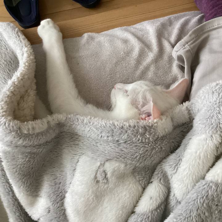 16c1e351 4b94 4e11 a4f9 930cc08f93b8 1655075330155