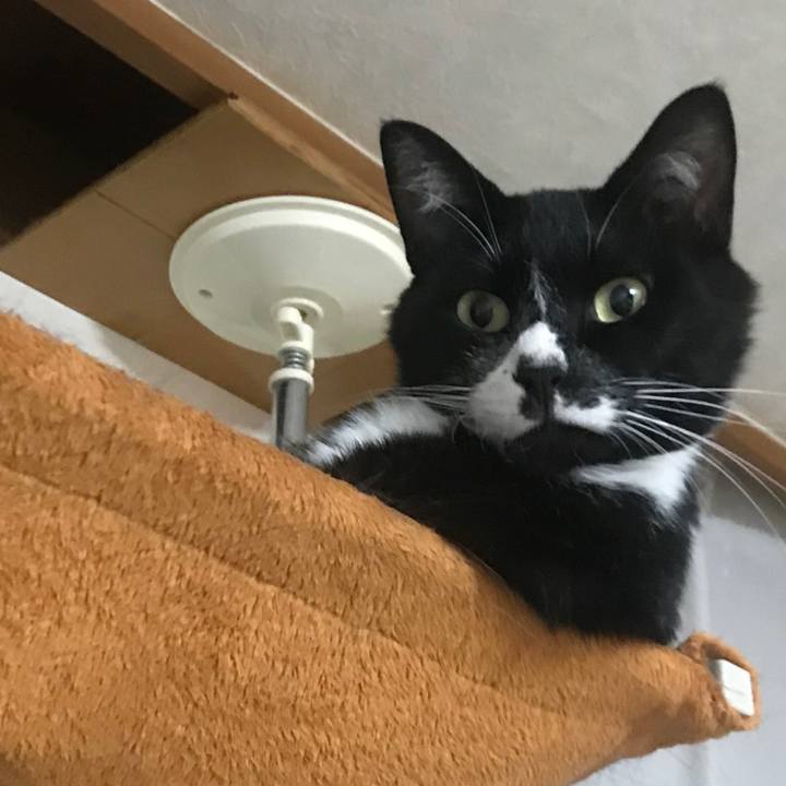 16c241fd 2684 4069 8493 73eded7eb070 1665977204586