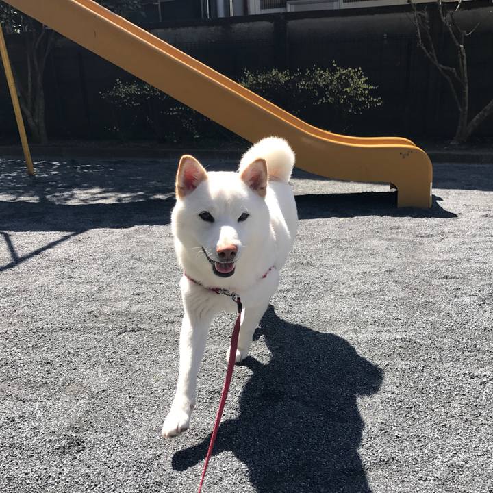 16c2436b 45b8 4af4 b1ab c11f2c49dfd3 1521258598597