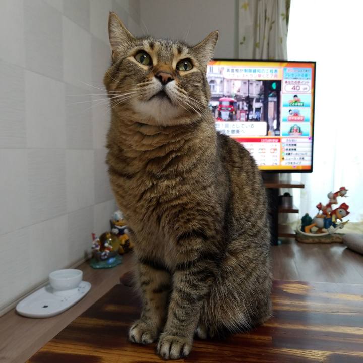 16c27622 c903 4373 add8 b6cdd43b661f 1589144347599