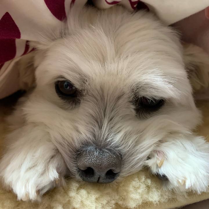 16c27afb 05c8 48cd 9452 75f9abefbe2d 1642245133621