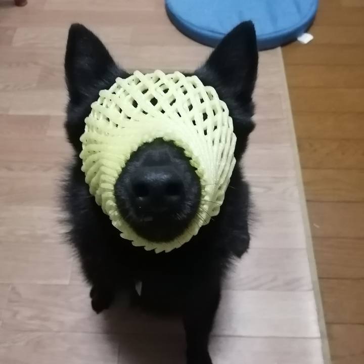 16c28448 f0e3 435a bddb 0bbeff7a64b3 1636366659893