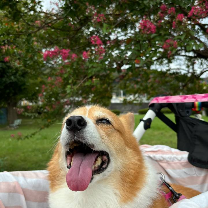 16c28ac9 f591 4605 9c47 659173495055 1727064090198