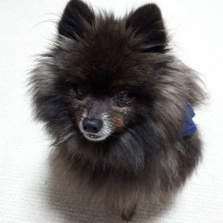 16c2d47a 9286 4554 8023 7cdb1d81c71b 1519588244767