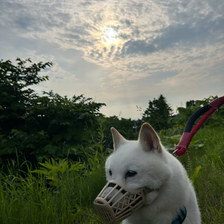 16c2f123 b3ed 485e ae31 af139585212c 1718918693219