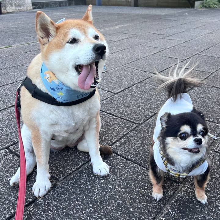 16c2f9fb 1aed 4462 b773 8bcbdec2af33 1720097584158