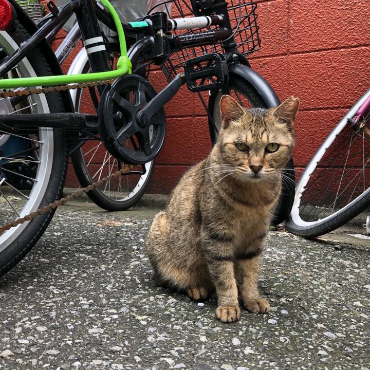 16c2fa66 dab7 467d b8fa d49bee51c424 1536309524711