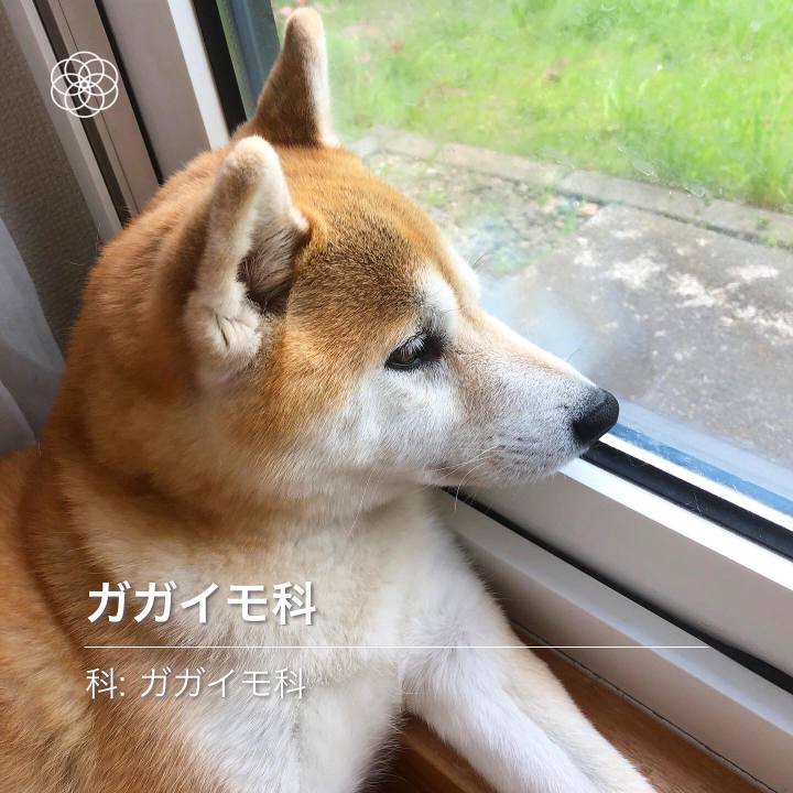 16c31f24 3d4e 46eb 830e 54cdaa788baa 1589682785266