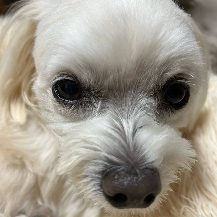 16c321ad 38a5 43a1 9c77 59c37cff2078 1698059614329