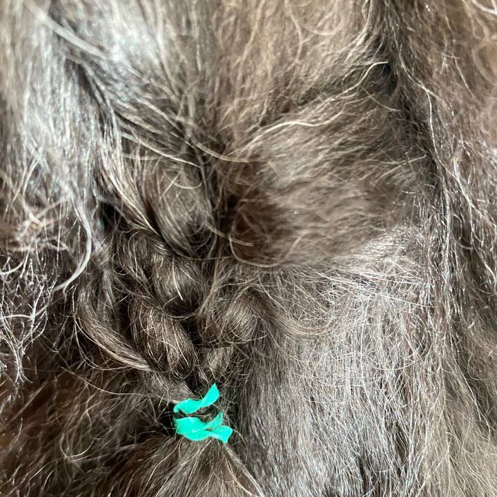 16c32d8a 778b 41c1 809f b16933181a1b 1662961548589