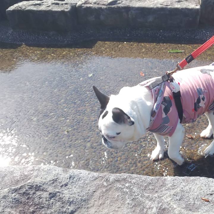 16c33a29 e06a 4f29 b657 3dfae156f8e5 1635056148424