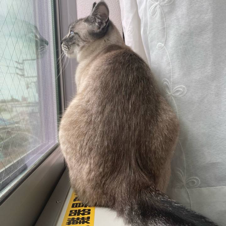 16c36371 1518 4cb2 9183 a4debb80e030 1651980331488